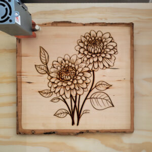 86687_wood-laser-1.jpg
