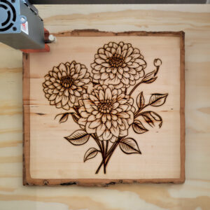 86689_wood-laser-1.jpg