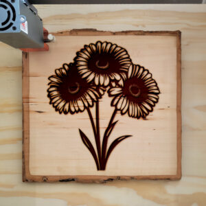 86767_wood-laser-1.jpg