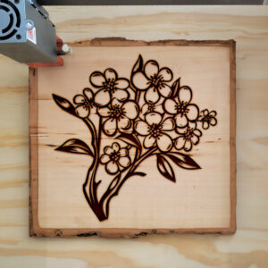 86802_wood-laser-1.jpg