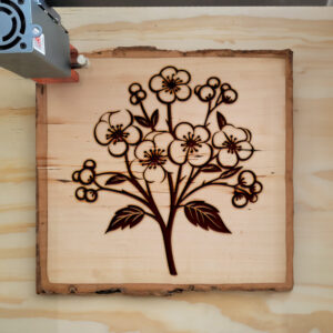 86814_wood-laser-1.jpg