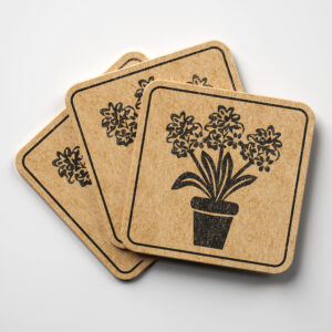 86891_coaster-1.jpg
