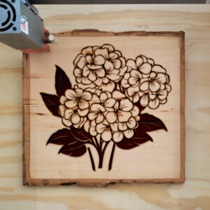 86894_wood-laser-1.jpg