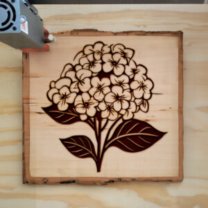 86902_wood-laser-1.jpg