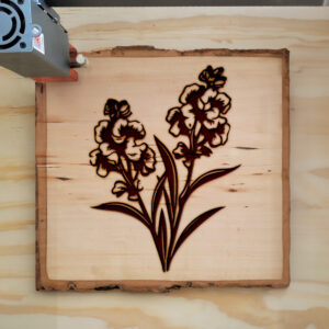 86923_wood-laser-1.jpg