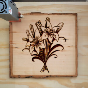 86943_wood-laser-1.jpg