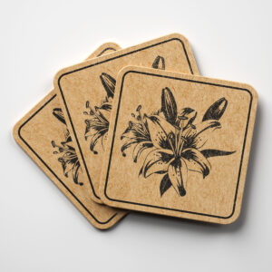 86951_coaster-1.jpg