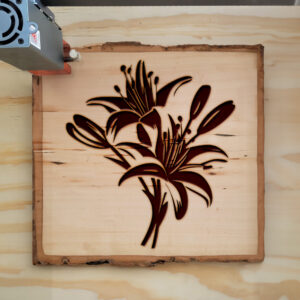 86954_wood-laser-1.jpg