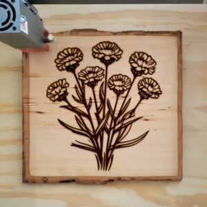 86957_wood-laser-1.jpg