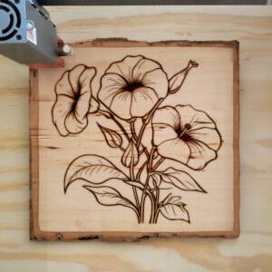 86960_wood-laser-1.jpg
