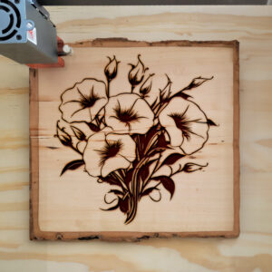 86975_wood-laser-1.jpg