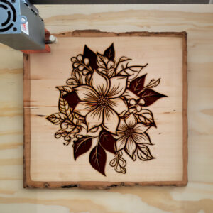 87015_wood-laser-1.jpg