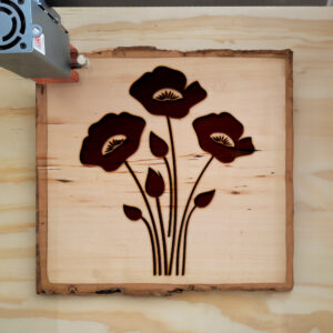 87027_wood-laser-1.jpg