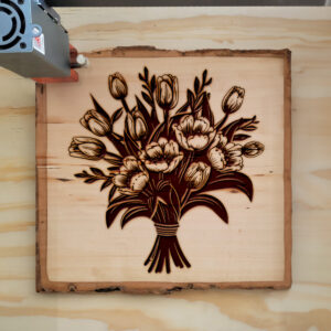 88065_wood-laser-1.jpg