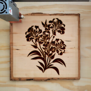 88236_wood-laser-1.jpg