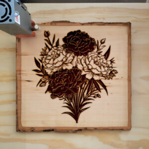 88262_wood-laser-1.jpg