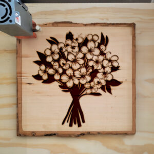 88268_wood-laser-1.jpg