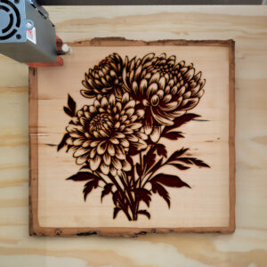 88273_wood-laser-1.jpg