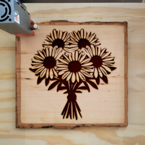 88300_wood-laser-1.jpg