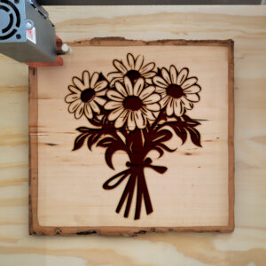 88302_wood-laser-1.jpg