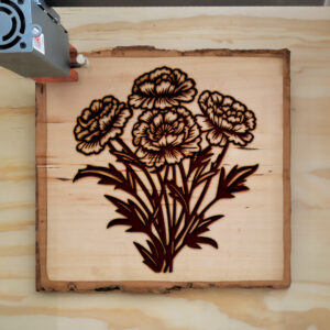 88377_wood-laser-1.jpg