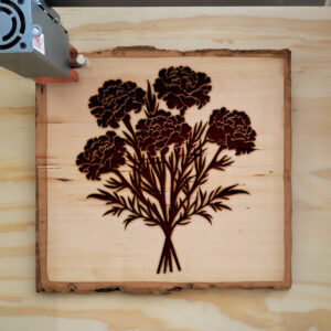 88379_wood-laser-1.jpg