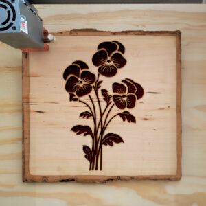 88391_wood-laser-1.jpg
