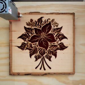 88396_wood-laser-1.jpg