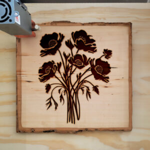 88404_wood-laser-1.jpg