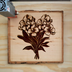 88420_wood-laser-1.jpg