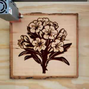 88422_wood-laser-1.jpg