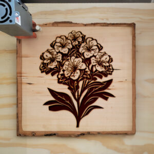 88424_wood-laser-1.jpg