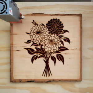 88494_wood-laser-1.jpg