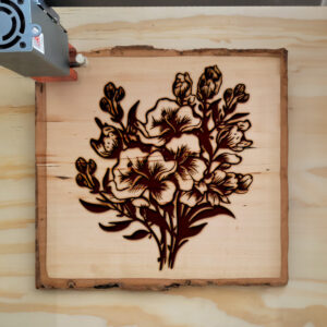 88516_wood-laser-1.jpg