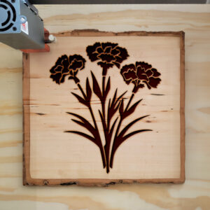 88530_wood-laser-1.jpg