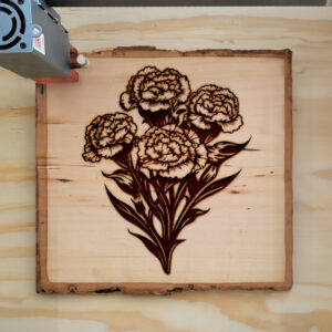 88534_wood-laser-1.jpg