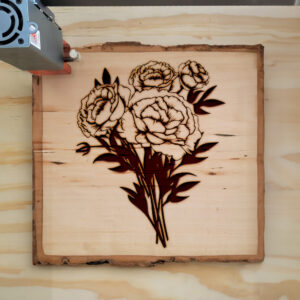 88536_wood-laser-1.jpg