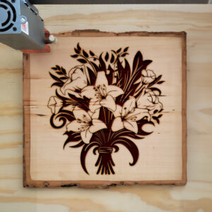 88565_wood-laser-1.jpg