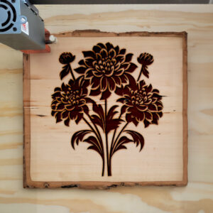 88567_wood-laser-1.jpg