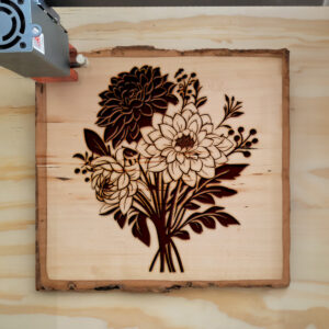 88571_wood-laser-1.jpg