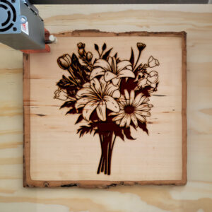 88579_wood-laser-1.jpg