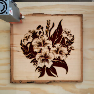 88611_wood-laser-1.jpg