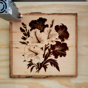 88613_wood-laser-1.jpg