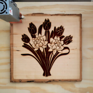 88623_wood-laser-1.jpg