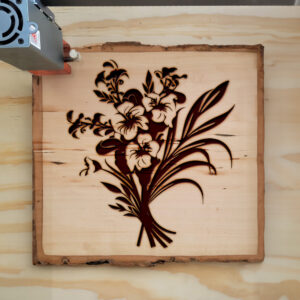 88637_wood-laser-1.jpg