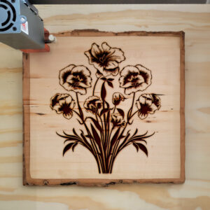 88644_wood-laser-1.jpg