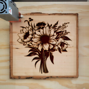 88656_wood-laser-1.jpg