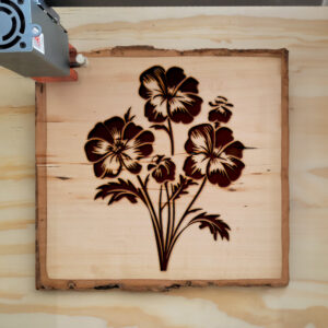 88666_wood-laser-1.jpg