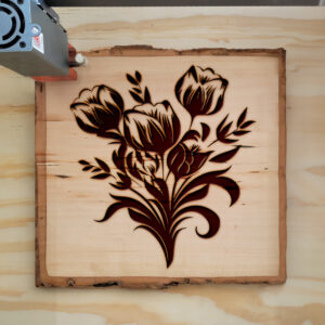 88670_wood-laser-1.jpg