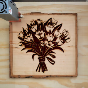 88672_wood-laser-1.jpg